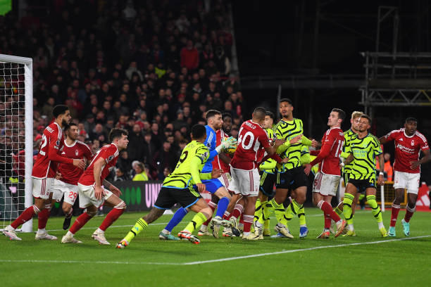 培养年轻球 培养年轻球